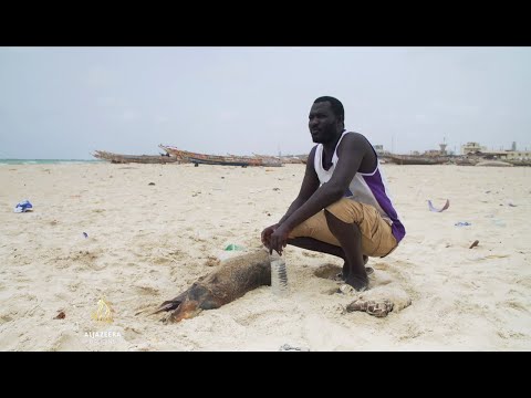 Video: Ponovno Zajetje Obale