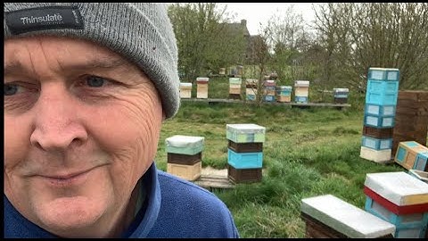 Building Mini-Plus Mini mating nuc frames on 6 frames nucs