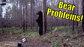 How to Build a BEAR PROOF Deer Corn Feeder with Moultrie Hanging Hoist