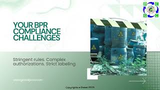 BPR Services
