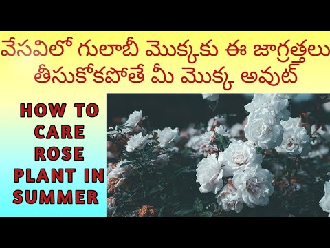 Все понятно гиф. Get it i did. Обои на ноутбук мрамор с надписями. Here and now. Get it i did.