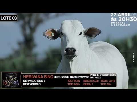 LOTE 03   HERIVANA SINO