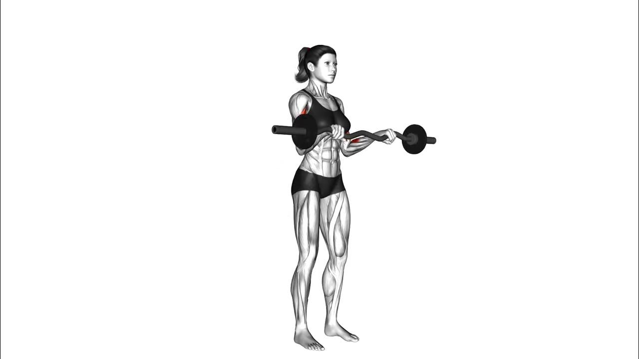 24981201 EZ Barbell Reverse Grip Curl female Forearms YouTube