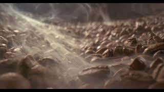 Coffee Bean Footage Video in 4K