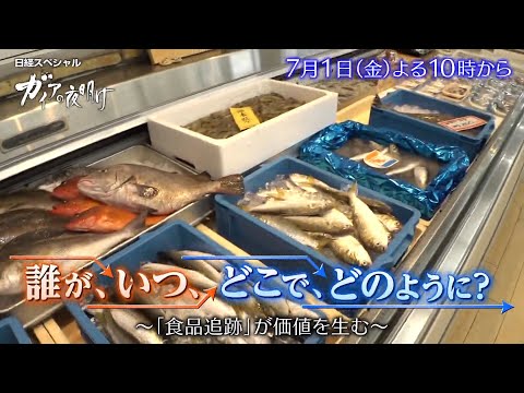 ガイアの夜明け【誰が、いつ、どこで、どのように？～「食品追跡」が価値を生む～】