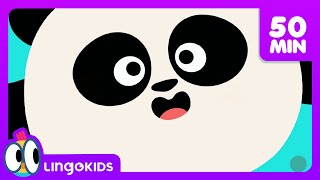 Five Senses Song + More Songs for Kids 🌈  Lingokids