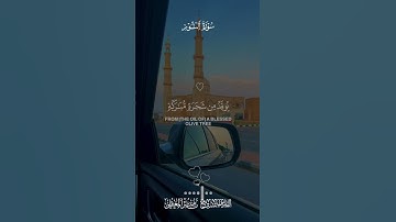 أكتب شيء تؤجر عليه 🤍🍃سورة النور 🤍