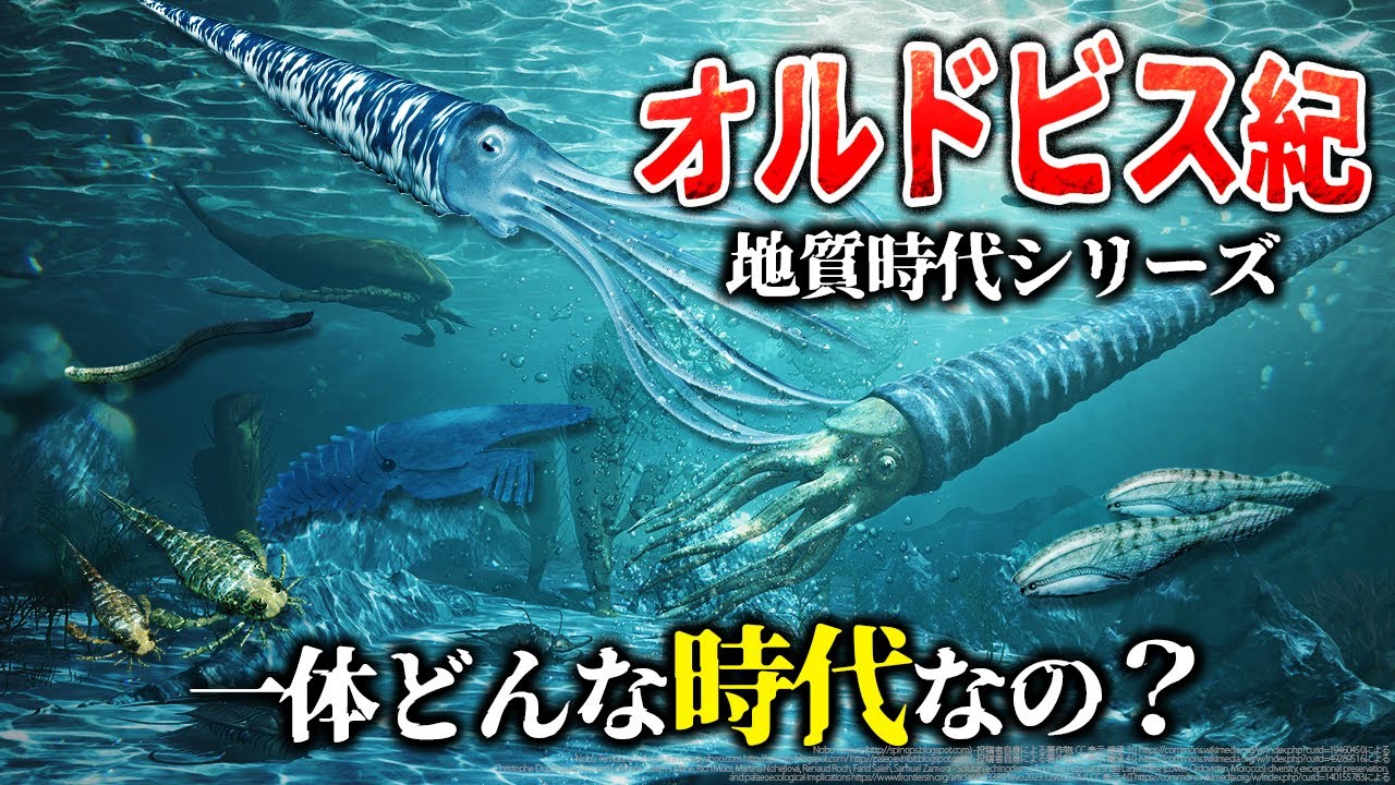 ゆっくり解説】地質時代シリーズ オルドビス紀とは一体何なのか