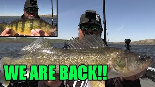 Open Water Season is BACK!!  Walleye/Perch Fishing