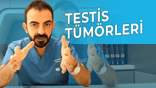 Testis Tümörleri Nasıl Anlaşılır? Testiste Ele Gelen Her Sertlik Kanser Midir? Resimi