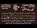 Rude hero based / cousin marriage " Mery hamnvah by arfa/Complete Novel 💝 Romantic Audio novel