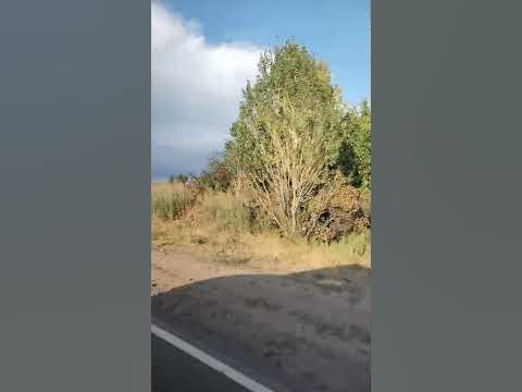 Армения🇦🇲Апаран!Armenia-Aparan - YouTube