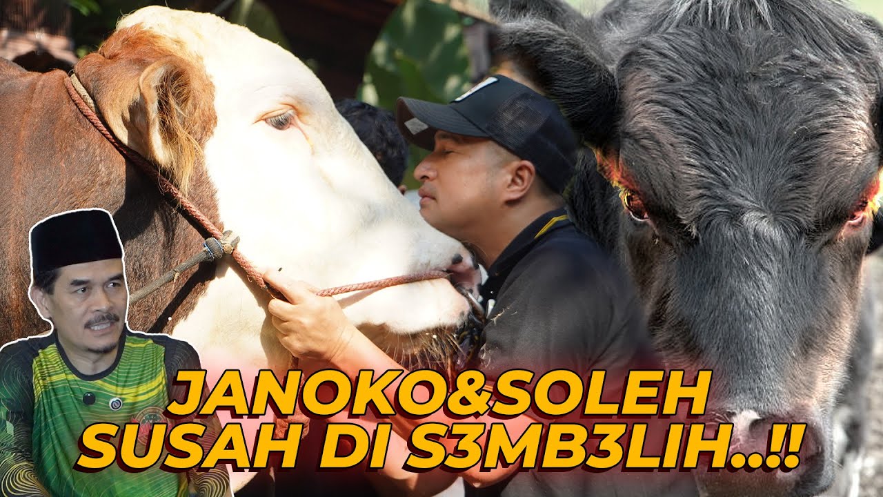 KESAKSIAN JURU S3MB3LIH,JANOKO DAN SOLEH SUSAH SI TAKLUKKAN..!