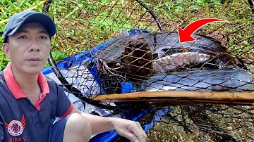 Toàn Cảnh Thăm Dớn Thăm Lờ Cá Lóc Miền Tây Mùa Nước Nổi