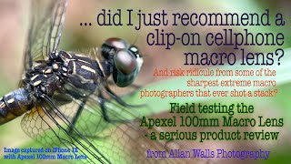 Field Testing the Apexel 100mm Macro Lens - Product Review