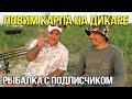 Карпфишинг на дикаре. Рыбалка с подписчиком.