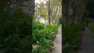 Cuánto verde hay en el barrio Rawson de #agronomia #walking #shorts #buenosaires
