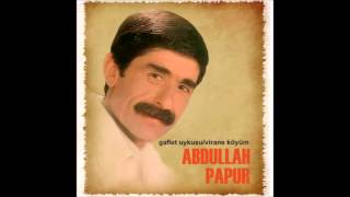 Abdullah Papur Dağlar Kışımış Resimi