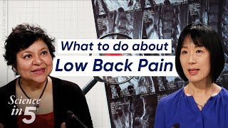 : WHOs Science in 5: Low back pain