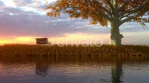 Autumn Sunset | Motion Graphics - Envato elements