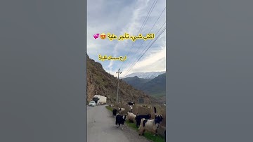 قران كريم يا الله💜 #quran #اكسبلور #القران_الكريم #قرآن #المصحف #quran #اكسبلور