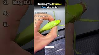 Ranking The Most TERRIFYING Bug Fails! 🕷️💀 #shorts