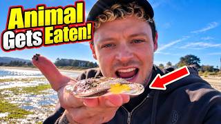 Animal Gets EATEN During Jellyfish Rescue! 😱 