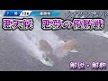 悪天候・大アクシデントの下関優勝戦1/9について。解釈解説【ボートレース】