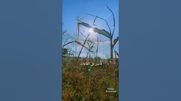 #اكتب_شي_تؤجر_عليه #اكسبلور #الحمدلله #تلاوة #جبر_خواطر #توبه #تلاوة_خاشعة #قران_كريم #قرآن #صلاة