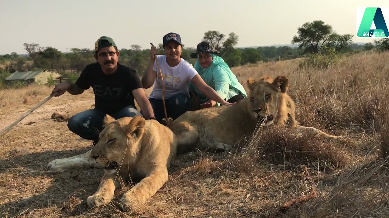 Antelope Park Zimbabwe , Gweru, Bulwayo, Zimbabwe