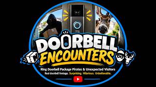 Porch Thieves Caught on Camera | Dumb Criminals & Instant Karma