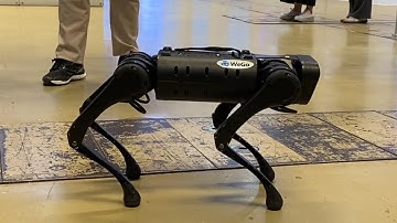 [B토막] 4족보행 로봇의 백덤블링!!