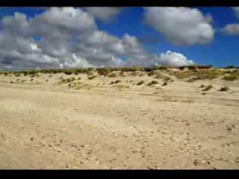 Wideo: Pierwszy Zapis Morświna Birmańskiego (Phocoena Spinipinnis) Na Falklandach (Malwiny)