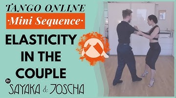 Minisequence in 3 Steps #6 "Elasticity" by Sayaka y Joscha
