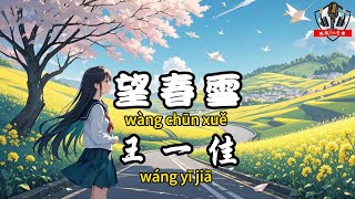 王一佳 - ﻿望春雪『雪落下後只願 來年春意將我暖』【繁體拼音動態歌詞Lyrics】【CC字幕】