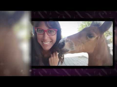 CUIDADOS COM A TROPA DA FAZENDA! VETERINÁRIA DESTACA O TRATAMENTO DE FERIMENTOS EM CAVALOS