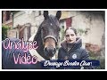 Analyse vido 1 cheval qui chauffe aprs avoir galop   passion dressage 