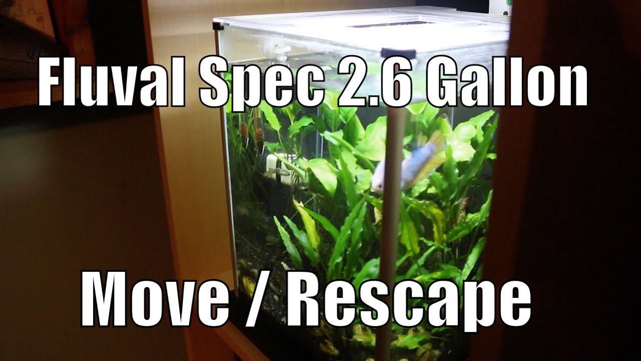 Fluval Spec Rescape