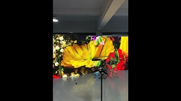 Flexible Curve LED Video Wall