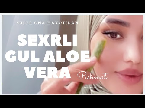 Aloe 🌵 vera