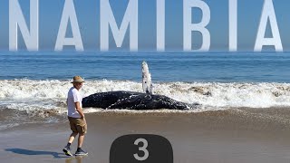 I HAD A DREAM : NAMIBIA - The Great Crossing (episode 3/5) 4K UHD