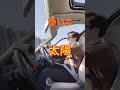 【100万回再生】ガルウィグドアって使えるの？#shorts