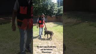 Its So Important To Reward The Correct Behavior. Incorrect Positions Dont Get Them Paid.