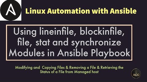 #20: Modifying & Copying Files & Removing a File & Retrieving the Status of a File from Managed host