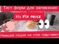 Тест форм для выпечки из fix price. Реакция кошки на стол подставку.