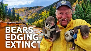 Population in Crisis: How Humans Are Destroying A Bear's Habitat