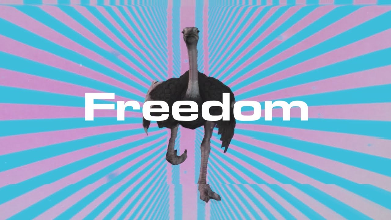 Freedom (Official Video) - Kitsch Kub