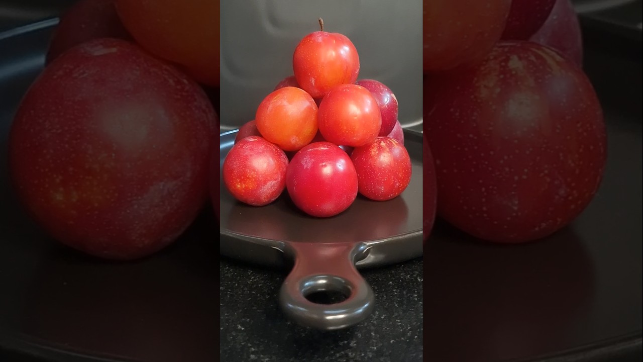 Plum Fruit | Aloo Bukhara | 