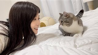 初めて美女が遊びに来たら雄猫がとんでもないことになりました笑