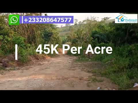 Estate Land & Farm Land For Sale At Aburi - Amanfrom